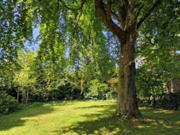 Großzügige Doppelhaushälfte mit sehr großem Grundstück in Top-Wohnlage in Ottobrunn - Edle Buche und gepflegter Garten